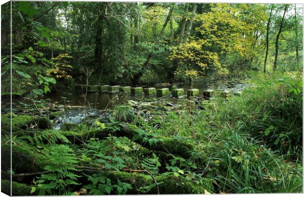 Stepping Stones at Egton Bridge Canvas Print by William A Dobson