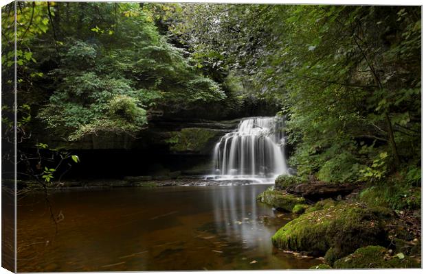 West Burton Falls also known as Cauldron Force Canvas Print by William A Dobson