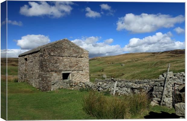 Barns in Ravenseat Canvas Print by William A Dobson