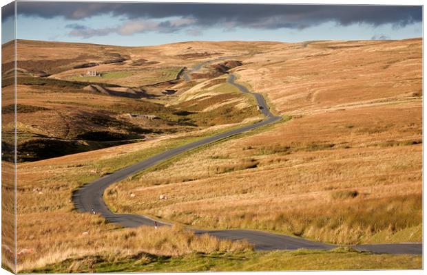 Stang Top Road Canvas Print by William A Dobson