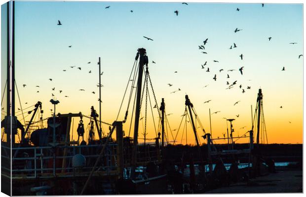 Silhouette of fishing boats and birds Canvas Print by Clive Wells