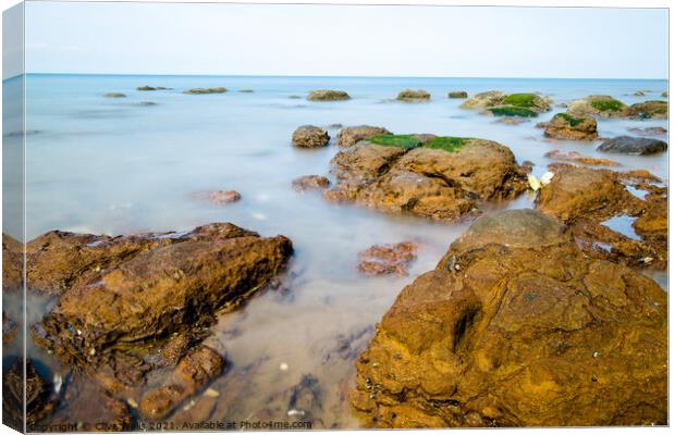 Rocks in the sea Canvas Print by Clive Wells