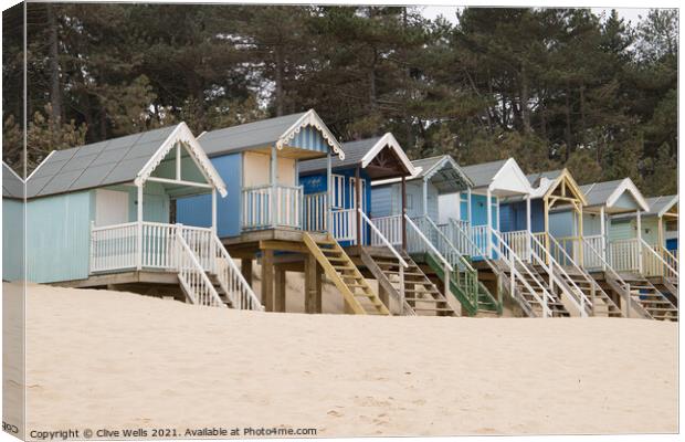 Row of beach huts against the pine trees Canvas Print by Clive Wells