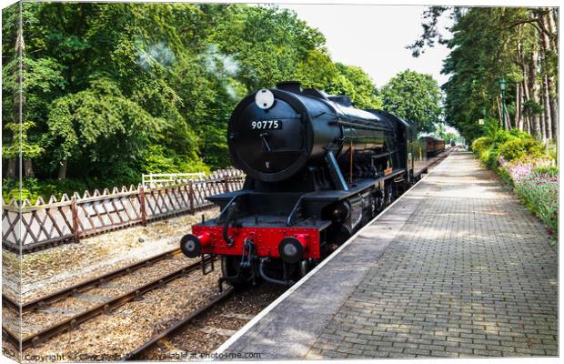 North Norfolk Railway Canvas Print by Clive Wells