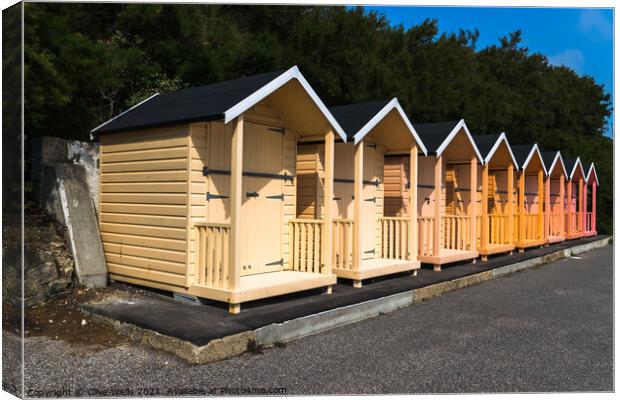 Bright beach huts Canvas Print by Clive Wells