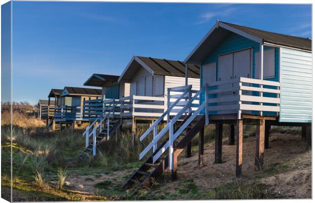 Row of beach huts Canvas Print by Clive Wells