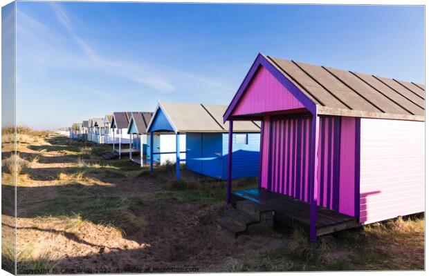 Lovely coloured beach hut  Canvas Print by Clive Wells