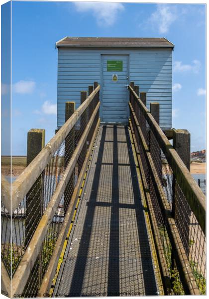 Walkway to the monitring station Canvas Print by Clive Wells