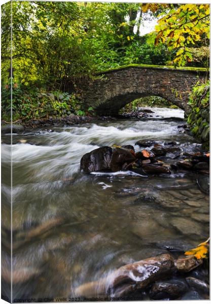 Water under the bridge Canvas Print by Clive Wells
