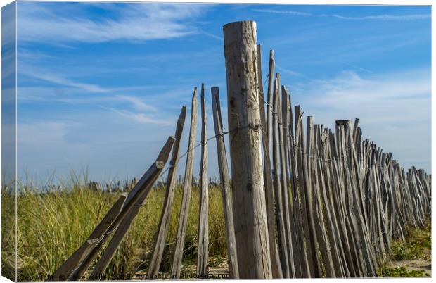 Beach fence Canvas Print by Clive Wells