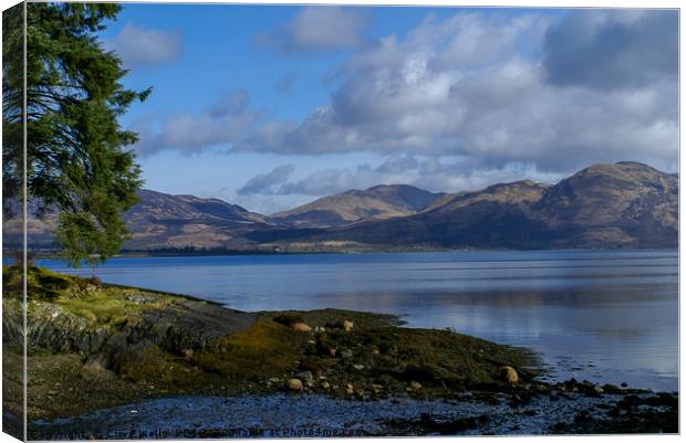 Scottish Loch Canvas Print by Clive Wells