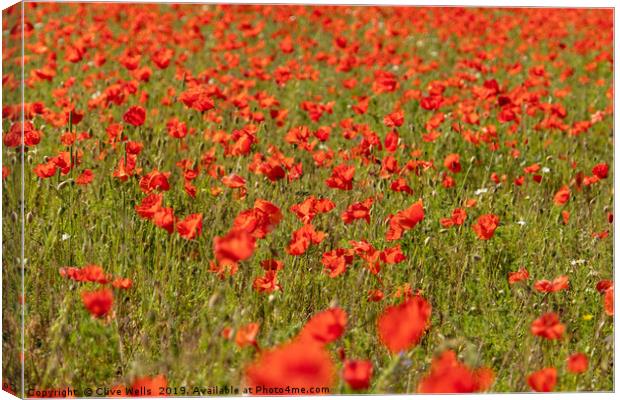 A Spread of Poppies Canvas Print by Clive Wells