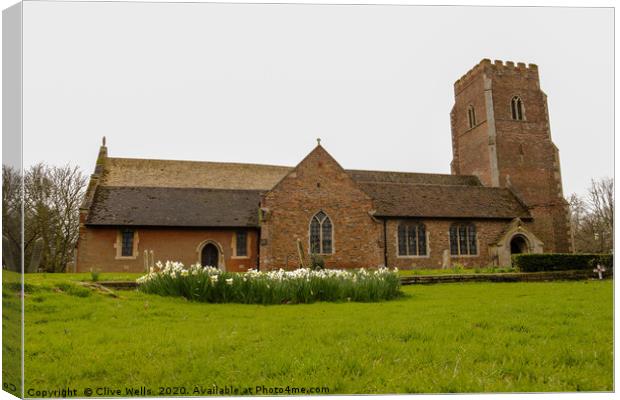 White daffodils Gaywood church Canvas Print by Clive Wells