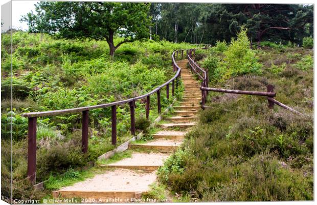 Path leading up to the top level seen at Wolverton Canvas Print by Clive Wells
