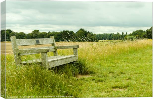 Lone seat on the grass at Sutton Bridge, Linconshi Canvas Print by Clive Wells