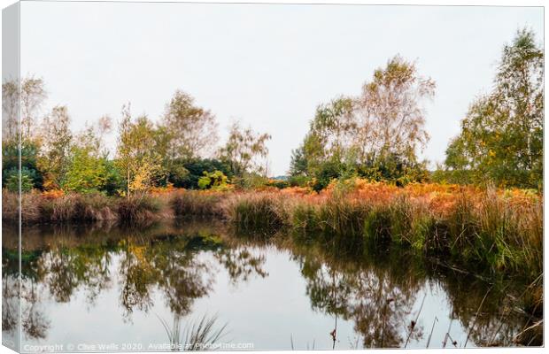 Autumn colours on an overcast day at Wolverton Canvas Print by Clive Wells