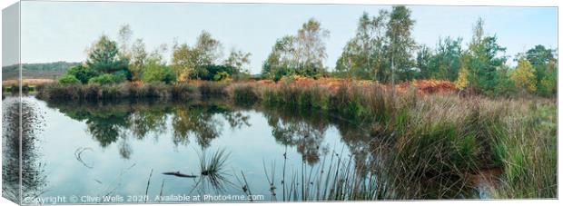 Small lake at Wolverton in Norfolk Canvas Print by Clive Wells