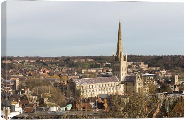 Norwich Cathedral Canvas Print by Clive Wells