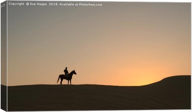 Arabian Horse with desert sunset Canvas Print by Sue Hoppe