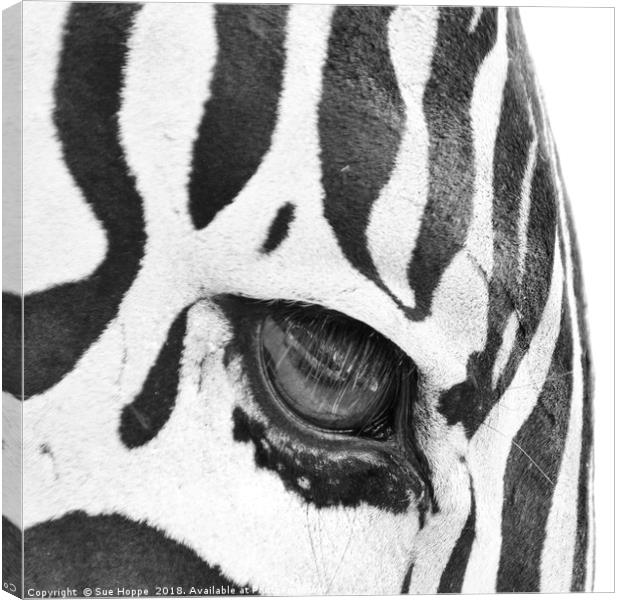 Zebra's Eye Canvas Print by Sue Hoppe