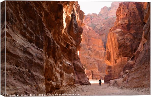 Sunrise paints rose coloured rocks at Petra Canvas Print by Sue Hoppe