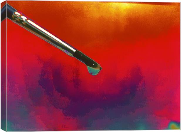 Paint brush with water droplet  Canvas Print by Dinil Davis