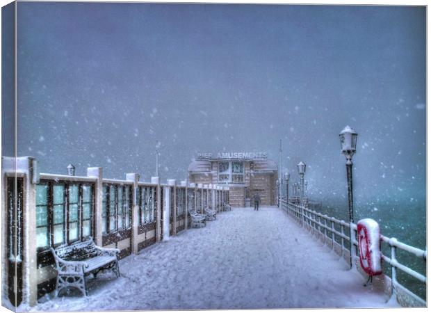 A very snowy Worthing Pier  Canvas Print by Terry May
