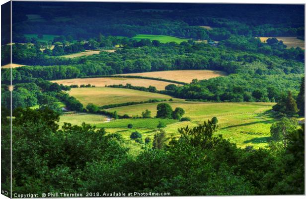 Rolling fields of the South Downs in mid summer. Canvas Print by Phill Thornton