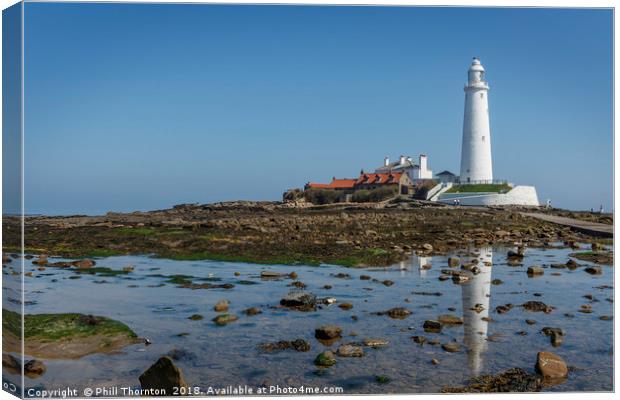 St Mary's Island and Lighthouse in mid summer. Canvas Print by Phill Thornton