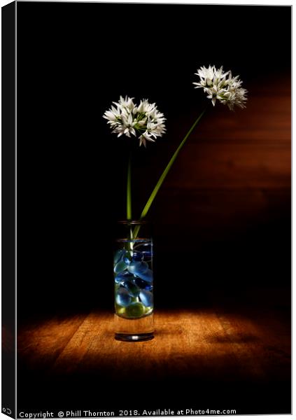 Wild Garlic flower Canvas Print by Phill Thornton