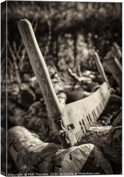 Traditional tools series No. 1 Canvas Print by Phill Thornton