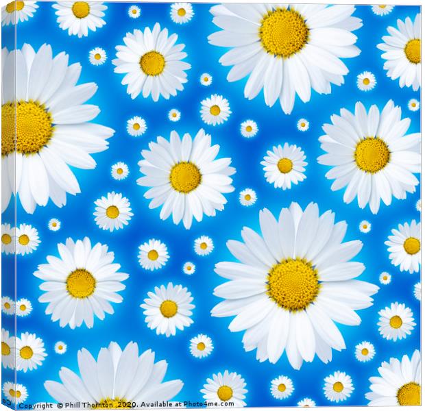 A pattern of isolated white daisy flower on a blue Canvas Print by Phill Thornton