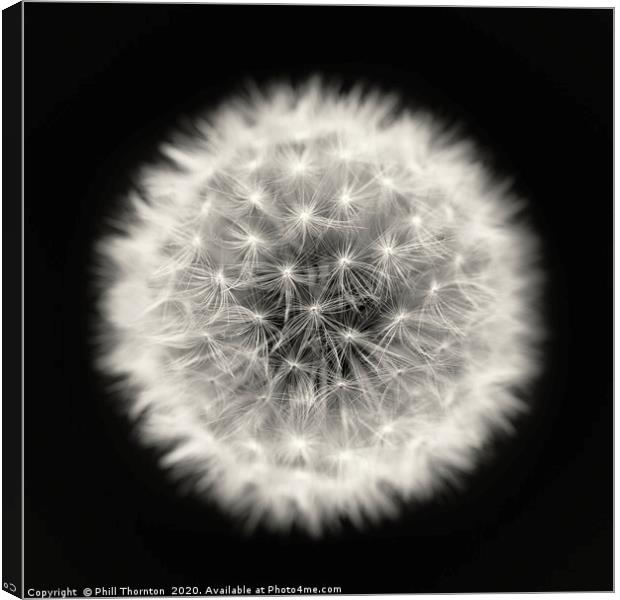 Isolated Dandelion seed head on a black background Canvas Print by Phill Thornton