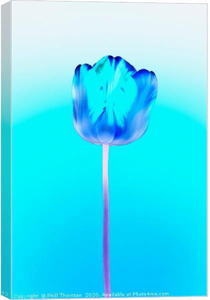 Negative of  single beautiful variegated tulip Canvas Print by Phill Thornton