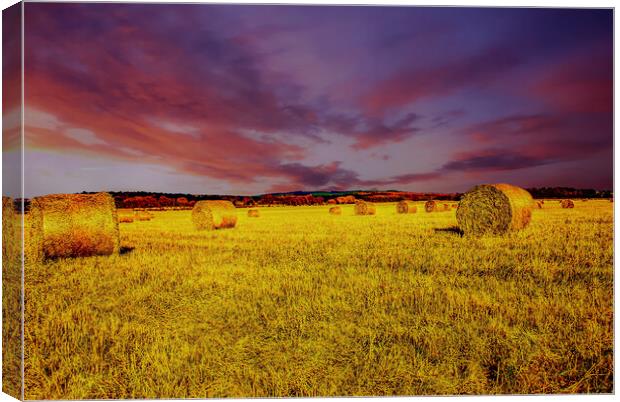 Spring Harvest Canvas Print by Scott Paul