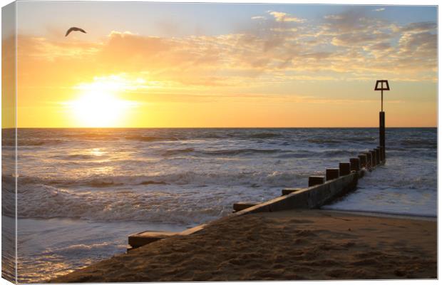 Coastal holiday perfect sunrise over the ocean Canvas Print by Steve Mantell