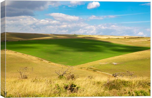 South Downs rolling fields Canvas Print by Steve Mantell
