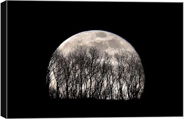 Silhouette Moonrise Canvas Print by Susan Snow