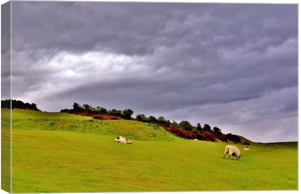 Dramatic Sky on Cleeve Common Canvas Print by Susan Snow