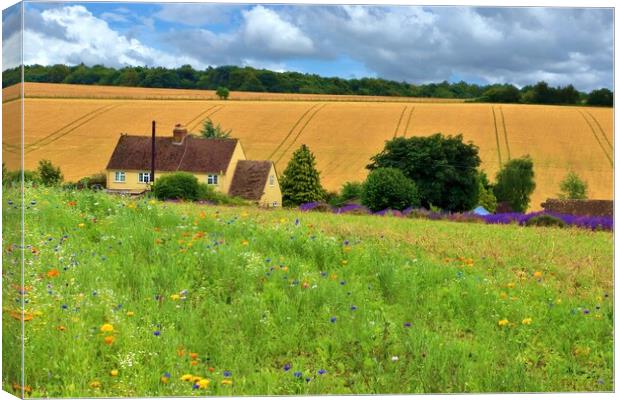 Field of Wildflowers Canvas Print by Susan Snow