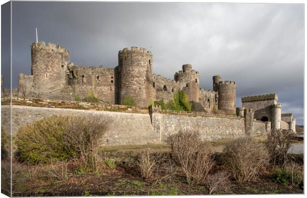 Conwy Castle on the estuary Canvas Print by Mike Hughes