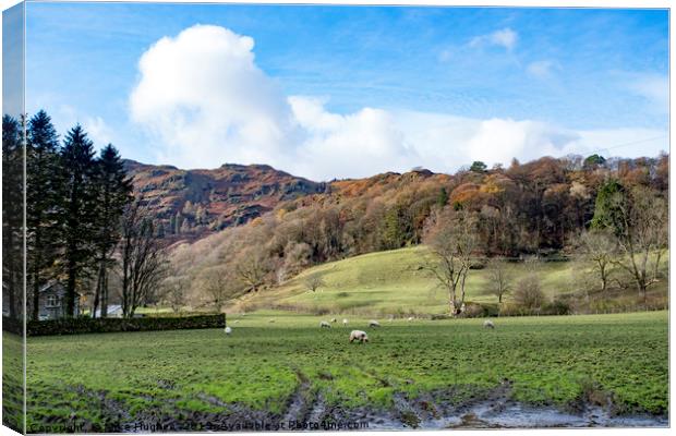 Grassmere  Canvas Print by Mike Hughes