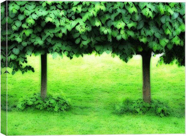 Trees in Gaasperpark, Netherlands Canvas Print by Michael Ffontas