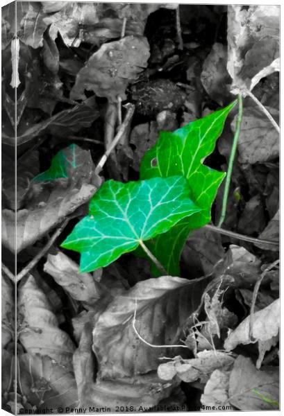                               Green Leaves Canvas Print by Penny Martin