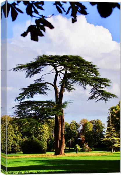 Lydiard Park, Swindon, Wiltshire Canvas Print by Penny Martin