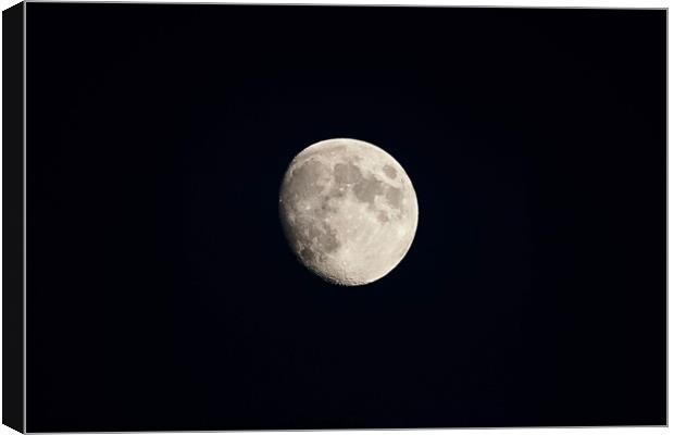 Waning Gibbous Moon Canvas Print by Penny Martin