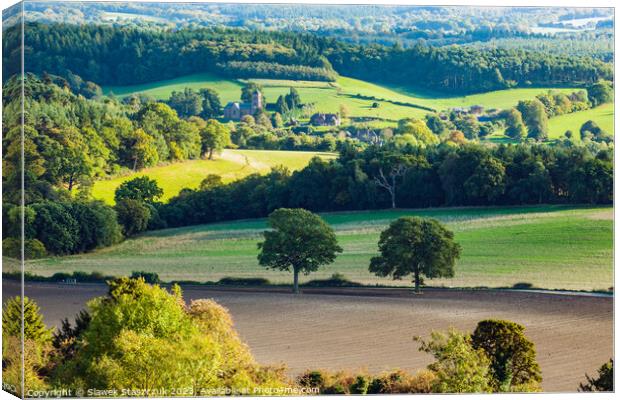 Newlands Corner Canvas Print by Slawek Staszczuk