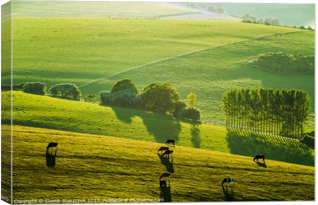 Breaky Bottom Canvas Print by Slawek Staszczuk