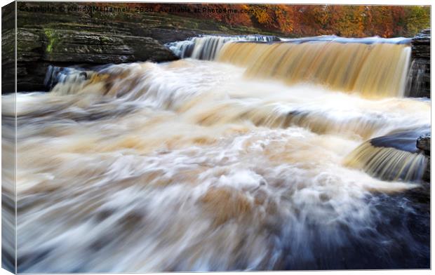 Aysgarth Falls in autumn, Yorkshire Dales National Canvas Print by Wendy McDonnell