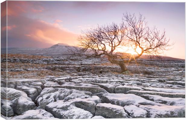 Sunrise, Twistleton Scar, Yorkshire Dales Canvas Print by Wendy McDonnell